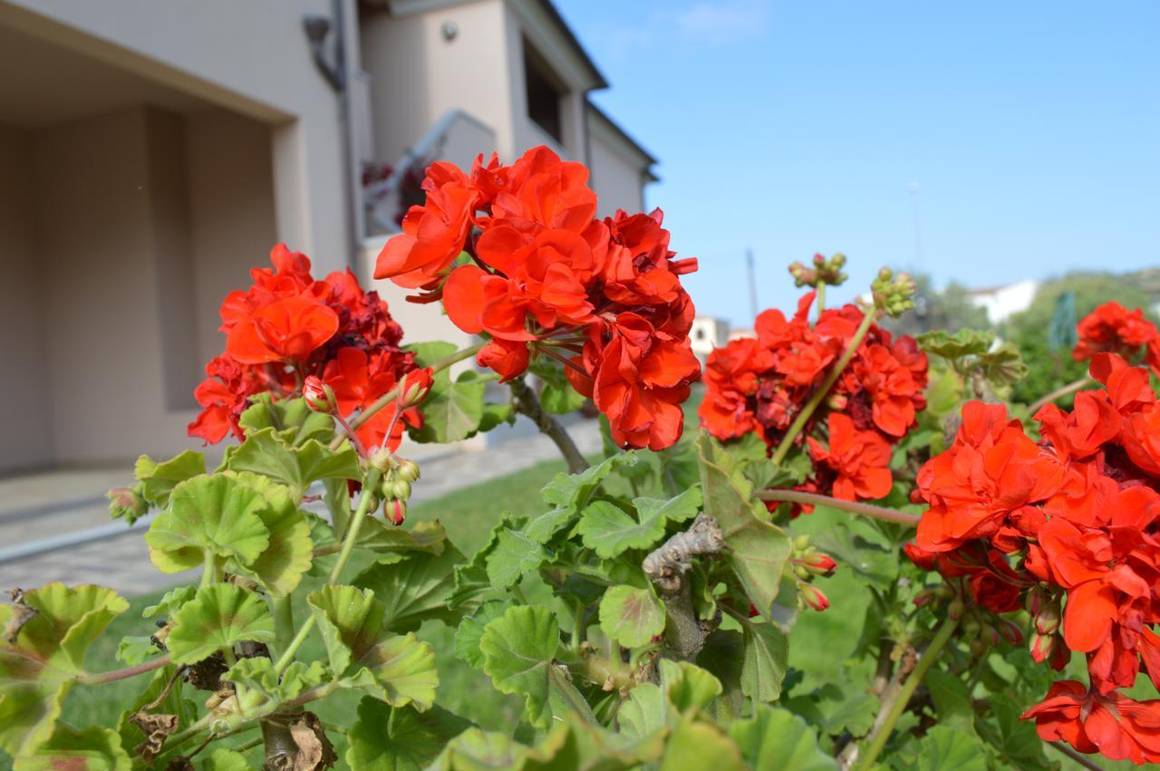Guest Rooms Affittacamere San Teodoro  Exterior foto