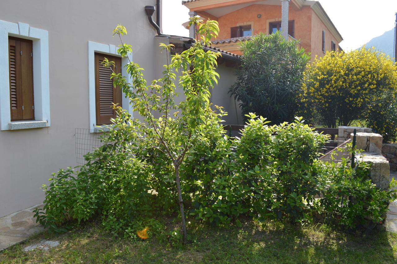 Guest Rooms Affittacamere San Teodoro  Exterior foto